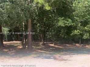 2326 W Barben Road, Avon Park, Флорида 33825, Соединенные Штаты