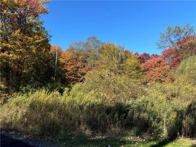 Mombasha Road W, Monroe, Nova Iorque 10950, Estados Unidos