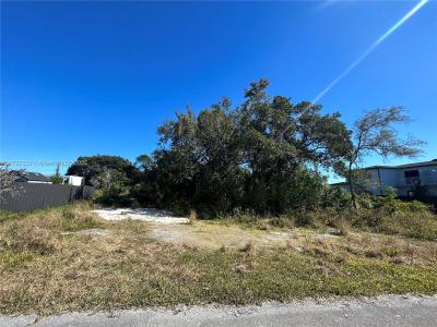 113 Sw, Unincorporated Dade County, Florida 33170, USA