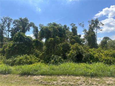 4917 Sugar Bay Street, Sebring, Florida 33872, USA