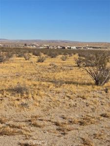 Arbuckle, Barstow, كاليفورنيا 92311, الولايات المتحدة