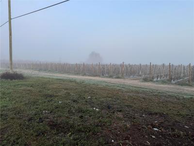 16181 SW 168 St, Unincorporated Dade County, 플로리다 33187, 미국