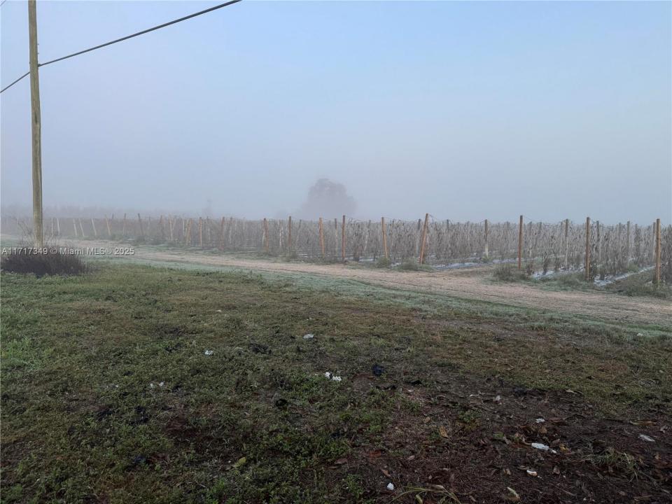 16181 SW 168 St, Unincorporated Dade County, 플로리다 33187, 미국