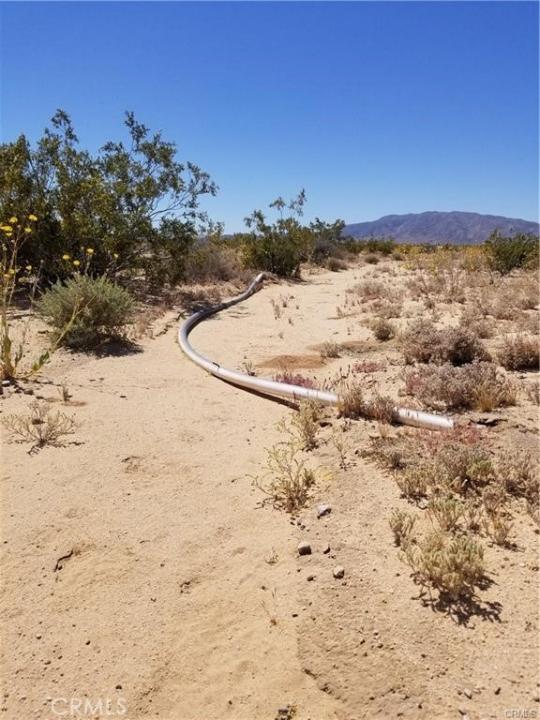Amboy Road, 29 Palms, California 92277, Stati Uniti