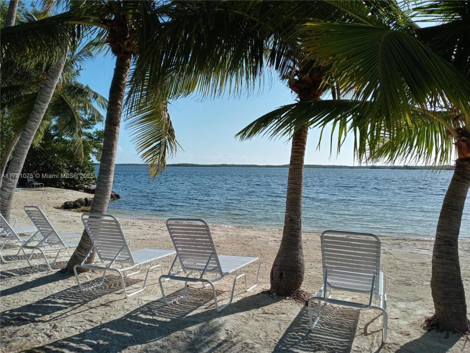 35 Bass Ave., Key Largo, フロリダ 33037, アメリカ合衆国