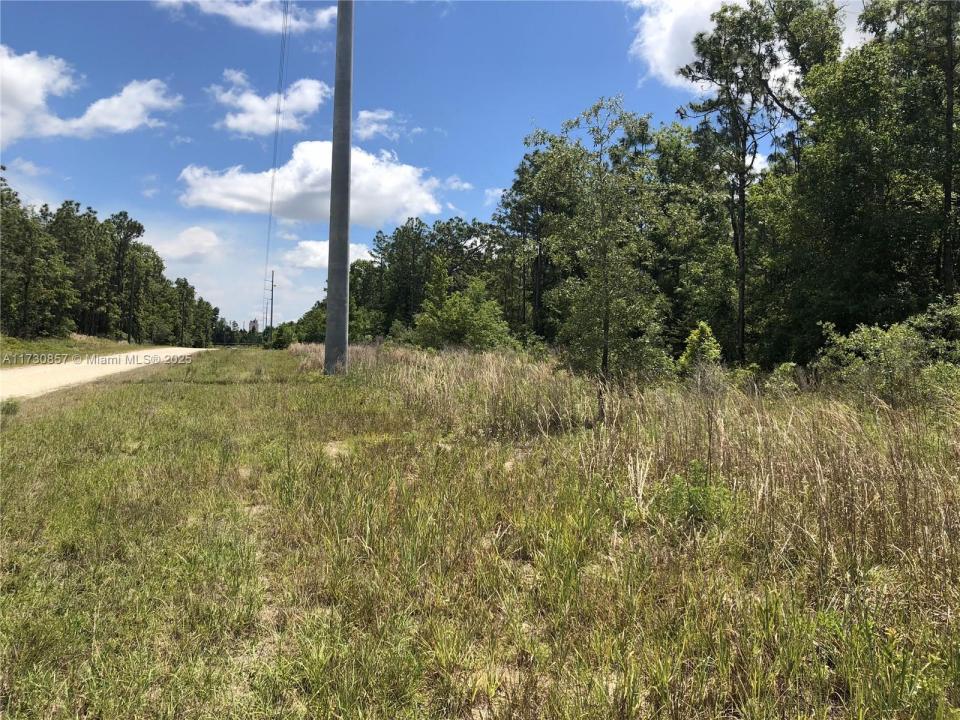 15107 Canvasback Rd, Other City - In The State Of Florida, Florida 34614, HOA KỲ