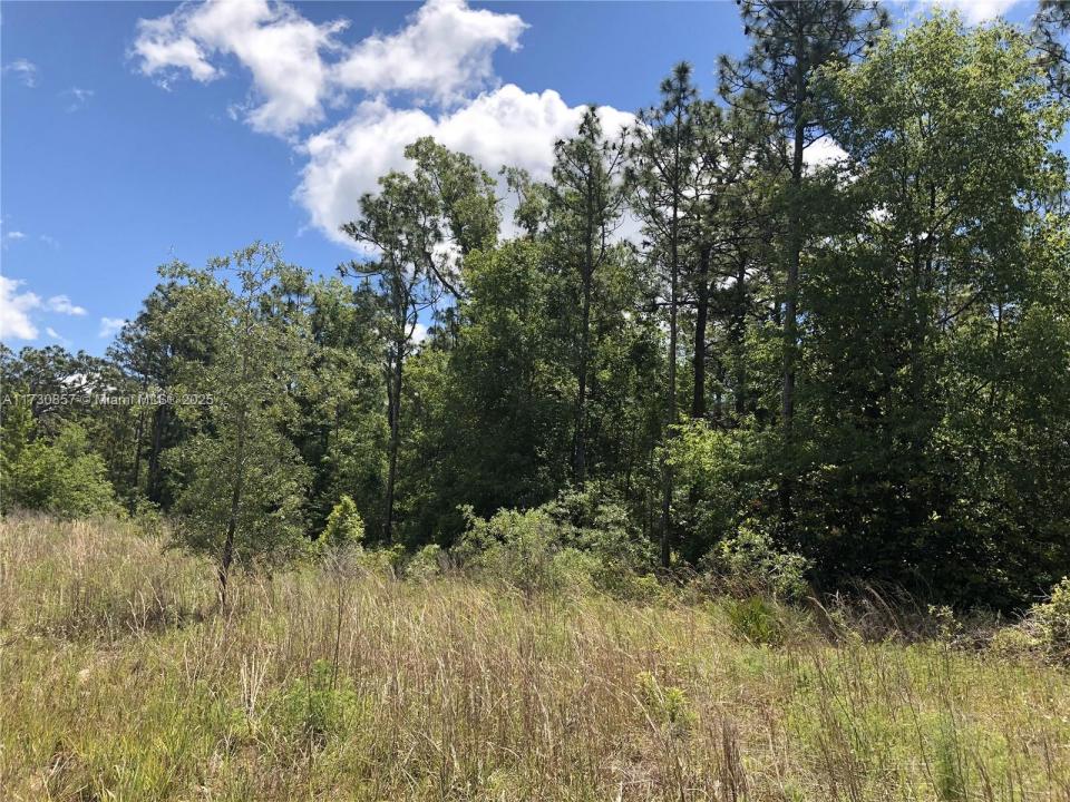 15107 Canvasback Rd, Other City - In The State Of Florida, Florida 34614, HOA KỲ