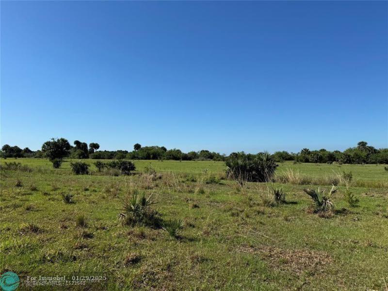 2348 Cabbage Ln, Okeechobee, Florida 34974