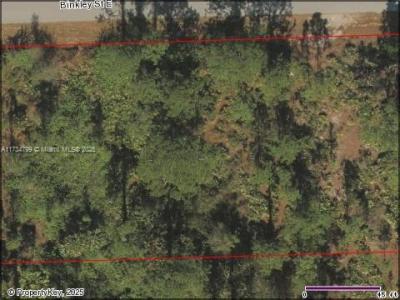 1018 E Binkley, Lehigh Acres, Florida 33974, USA