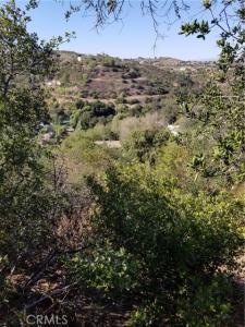 Grand View Drive, Chino Hills, Californie 91709, États-Unis