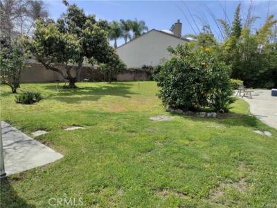 SPRUCE ST, Westminster, Калифорния 92683, Соединенные Штаты