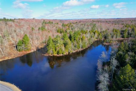 118 Hilltop Road, Thompson, New York 12701, Stati Uniti