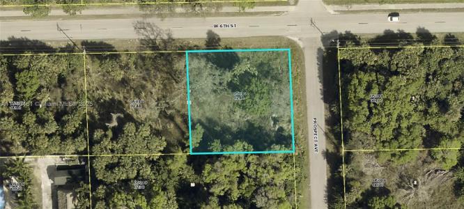 501 W 6TH ST, Lehigh Acres, Florida 33972, USA