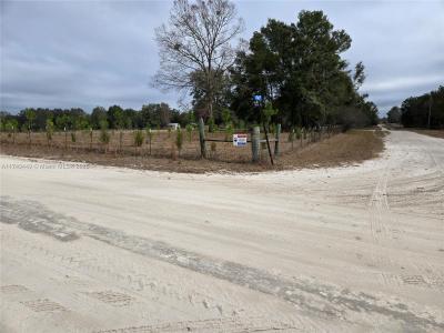 195 SW Turkey Gln, Other City - In The State Of Florida, Florida 32028, USA