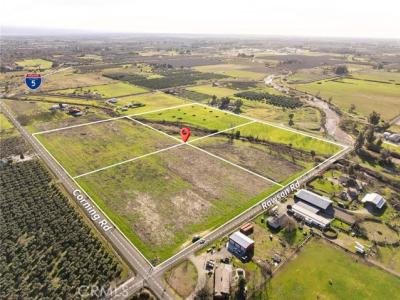 Corning Road, Corning, 加利福尼亚州 96021, 美国