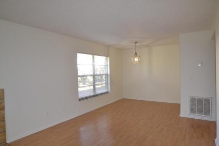 14308 Hanging Moss Circle 102, Tampa, 佛羅里達州 33613, 美國