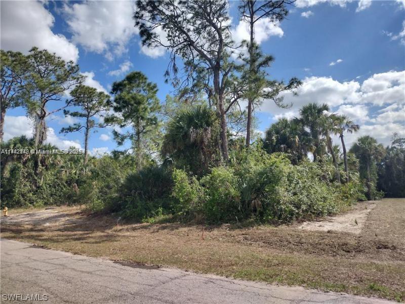 5003 E HUMMINGBIRD DR, La Belle, Floride 33935, États-Unis