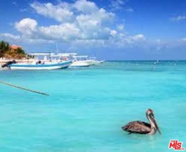 Puerto Morelos, Quintana Roo, Cancun Mexico, 0, 美国