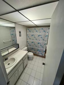 555 NE 123rd St 412-B, North Miami, Florida 33161, USA
