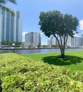 1000 Parkview Dr 121, Hallandale Beach, Florida 33009, USA