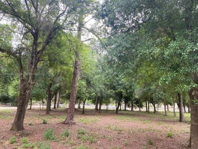 4320 Hendry Isles Blvd, Clewiston, Florida 33440, USA