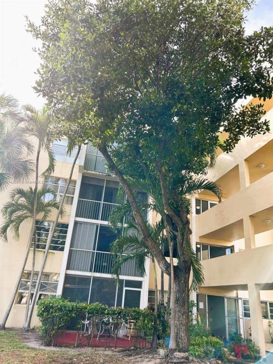 942 NE 199th St 3E, Miami, 佛罗里达州 33179, 美国