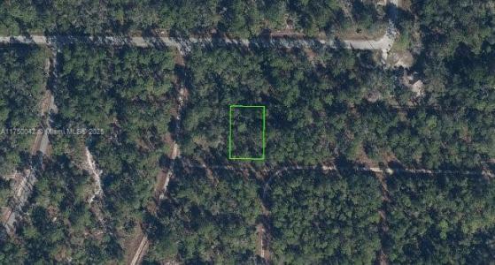 3215 Delafield, Lake Placid, Florida 33852, Estados Unidos