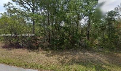 6182 N Buckland Dr, Citrus Springs, Floryda 34434, USA