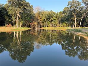 CR 1138, Lone Oak, Texas 75433, USA