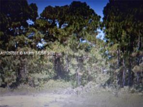 628 Eisenhower blvd, Lehigh Acres, Florida 33974, USA