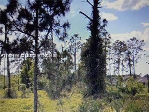 526 Aspen Ave, Lehigh Acres, Florida 33974, USA