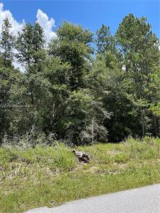 tbd SW 59th LN, Other City - In The State Of Florida, Florida 34431, USA