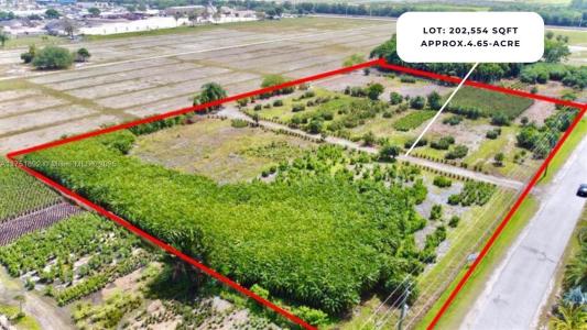 5800 SW 210th Terr, Southwest Ranches, Flórida 33332, Estados Unidos