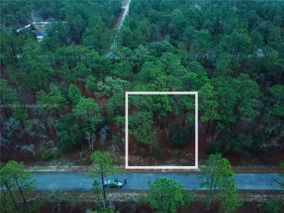 NW Narcissus Road, Other City - In The State Of Florida, Florida 34431, USA