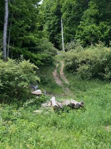 84 Mountain Road, Mamakating, Nueva York 12721, Estados Unidos