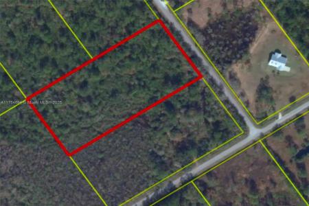 36675 NE 9th Dr, Okeechobee, Florida 34972, USA