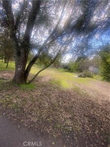 Marin Street, ניס, קליפורניה 95464, ארצות הברית של אמריקה 