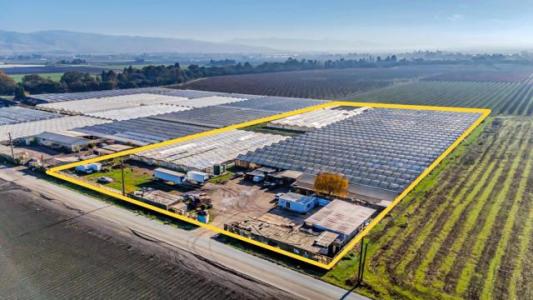 Gilman Road, Gilroy, Californie 95020, États-Unis