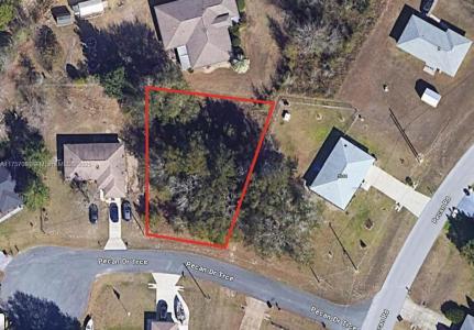 XX PECAN DRIVE TRCE, Ocala, Florida 34472, USA