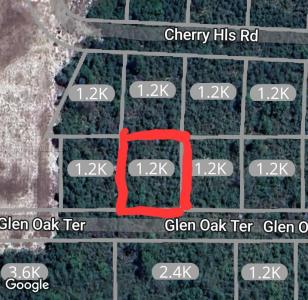 2936 Glen Oak Ter., Sebring, Florida 33875, USA