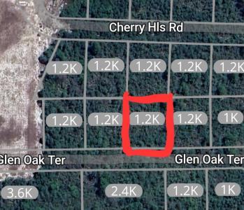 2924 Glen Oak Ter., Sebring, Florida 33875, USA