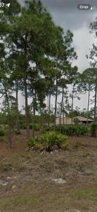 1210 Highland Ave, Lehigh Acres, Florida 33972, USA