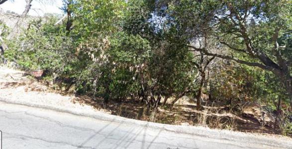 Palomar Drive, Redwood City, Kaliforniya 94062, Amerika Birleşik Devletleri