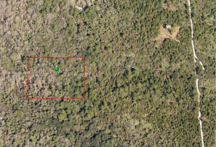LAKE HARNEY RD OSTEN, Other City - In The State Of Florida, Florida 32764, USA