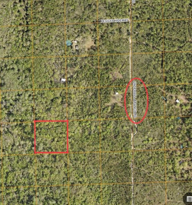 LAKE HARNEY RD OSTEN, Other City - In The State Of Florida, Florida 32764