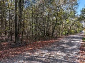 VZ County Road 3117, Edgewood, Texas 75117, Stati Uniti