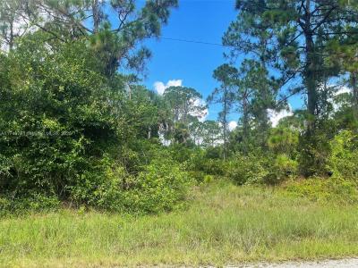 1026 Barcelona Street E., Lehigh Acres, Florida 33974, USA