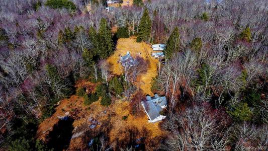 1021 Pine Kill Road, Mamakating, New York 12790, Amerika Birleşik Devletleri