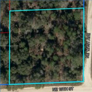 UNIT 14 BLK 57 LOT 5, Williston, フロリダ 32696, アメリカ合衆国