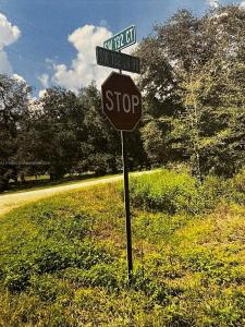 102 SW 132 ct, Other City - In The State Of Florida, Florida 34432, USA